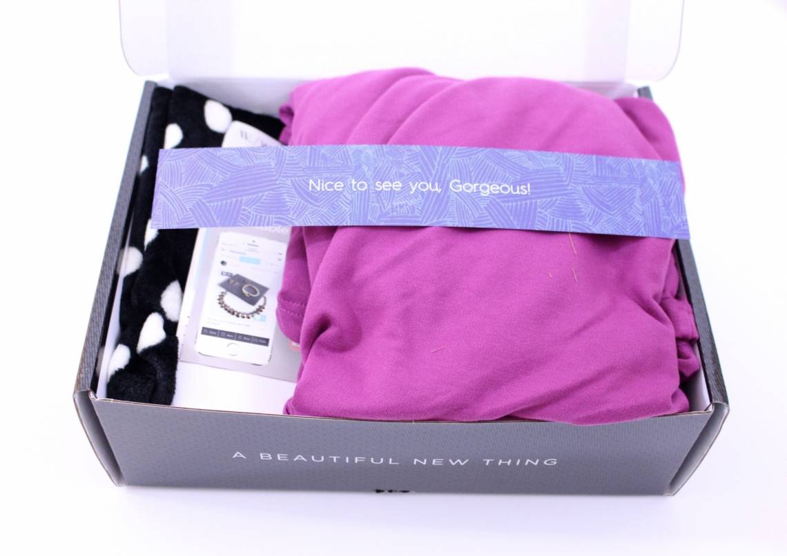 Wantable Intimates January 2016 2