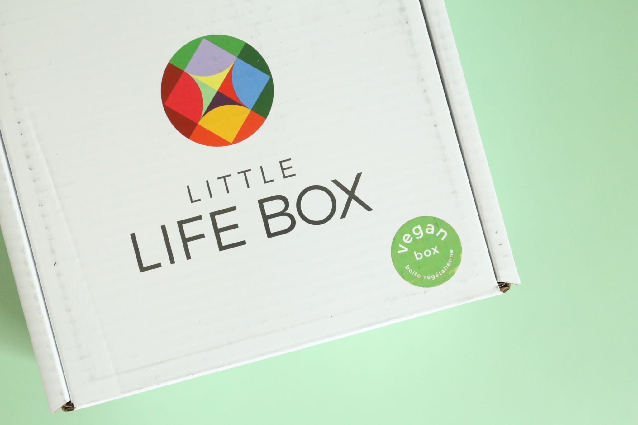 A Year of Boxes™ Little Life Box Review July 2017 A Year of Boxes™